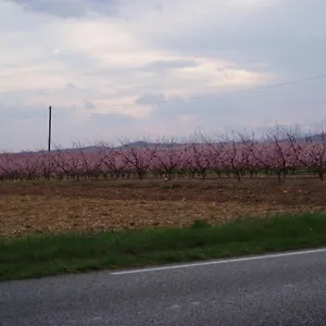 L'élie Sous Les Noyers, Le Clerieux